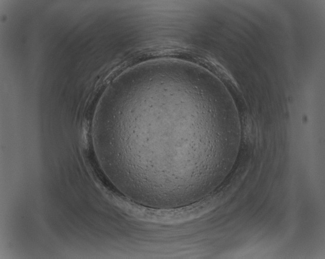 X0000078290026200611031243