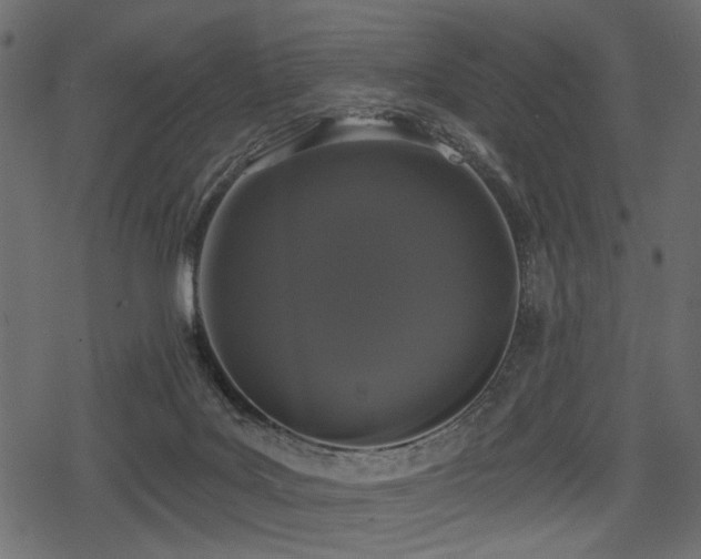 X0000078290027200611031243