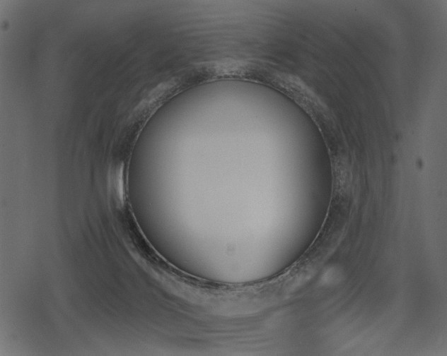 X0000078290028200611031243