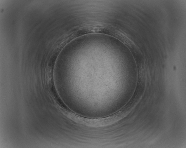 X0000078290030200611031243