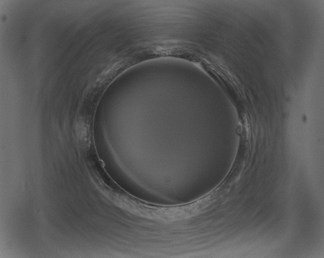 X0000078290031200611031243