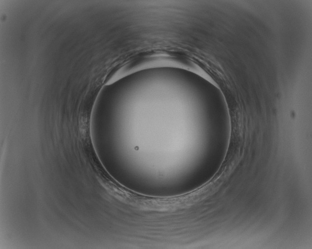 X0000078290033200611031243