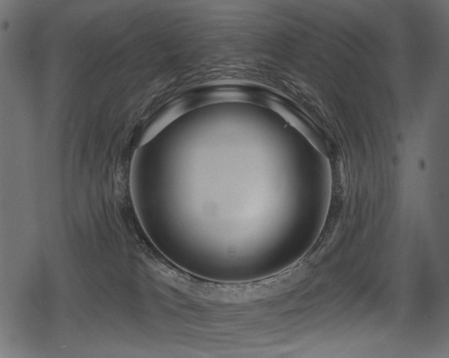 X0000078290037200611031243