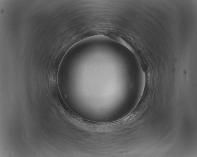 X0000078290040200611031242