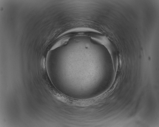 X0000078290041200611031242