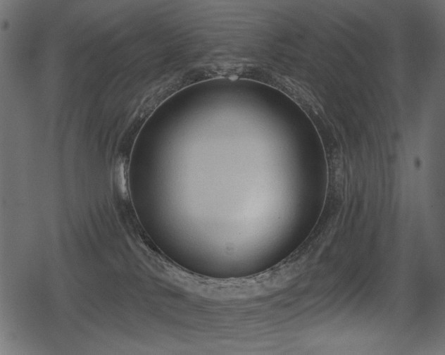 X0000078290042200611031242