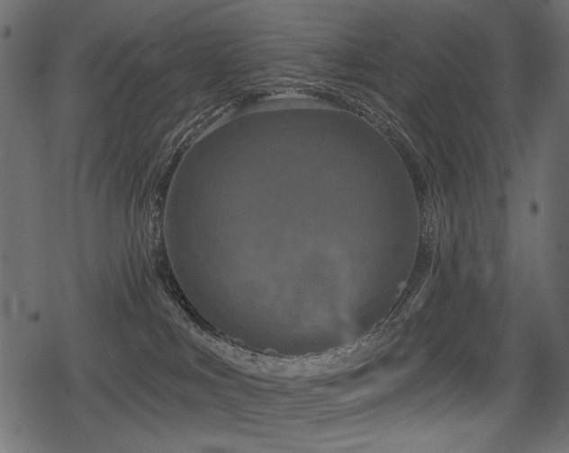 X0000078290043200611031242