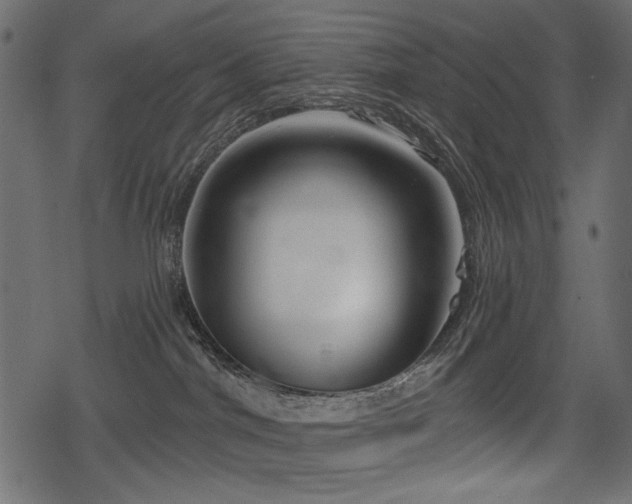 X0000078290044200611031242