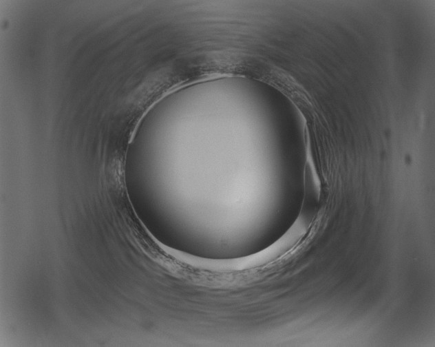 X0000078290045200611031242