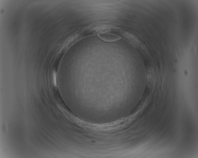 X0000078290046200611031242