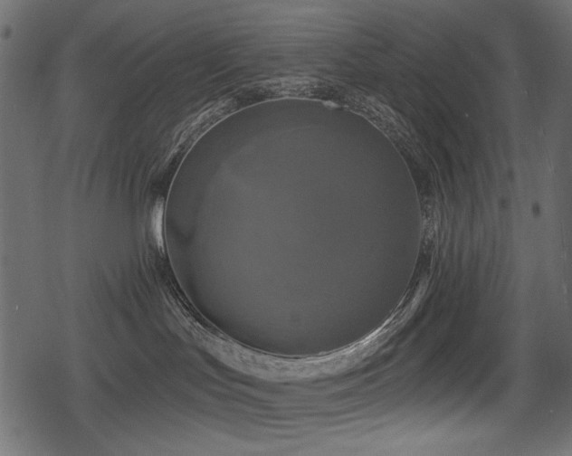 X0000078290047200611031242