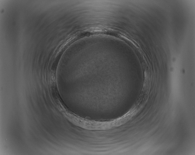 X0000078290048200611031242