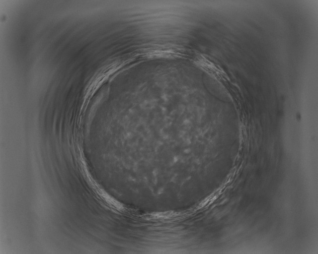 X0000078290049200611031242