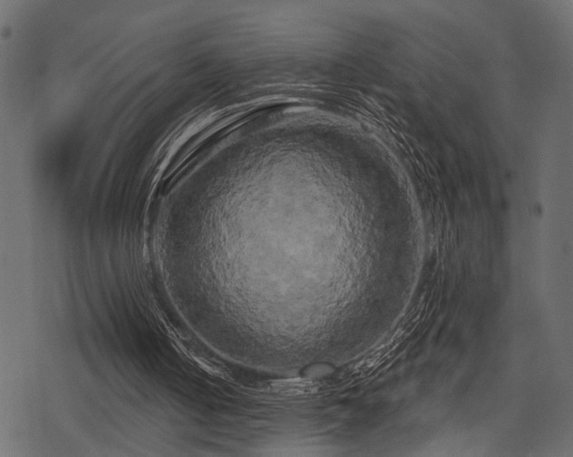 X0000078290050200611031242