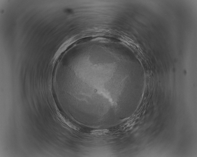 X0000078290051200611031242