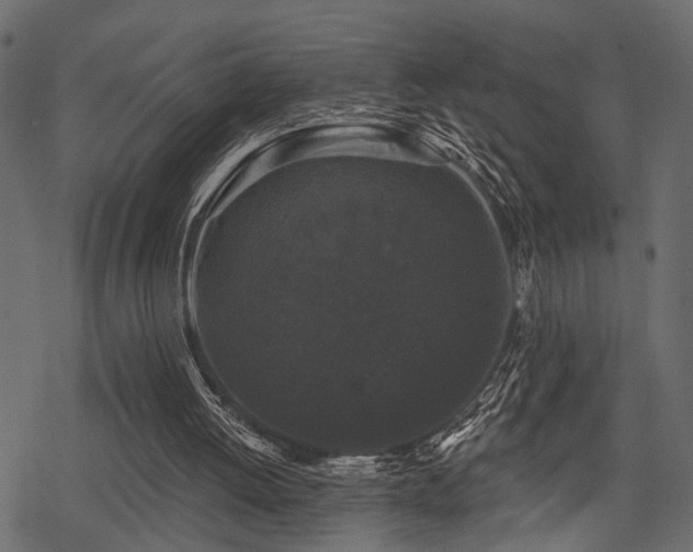 X0000078290052200611031242