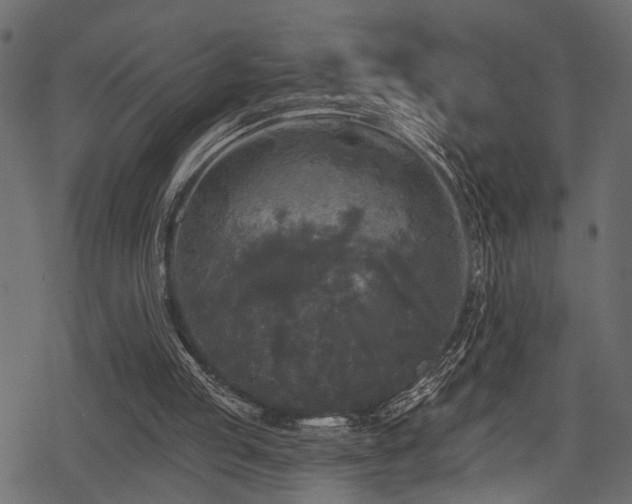 X0000078290053200611031242