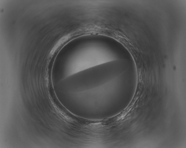 X0000078290054200611031242