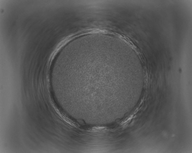 X0000078290055200611031242