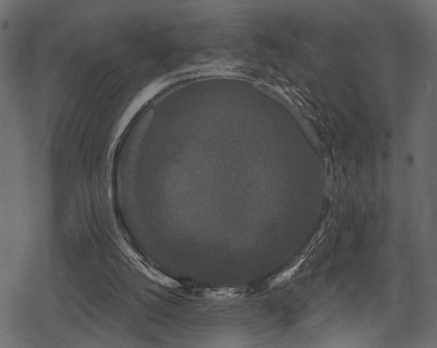 X0000078290056200611031242