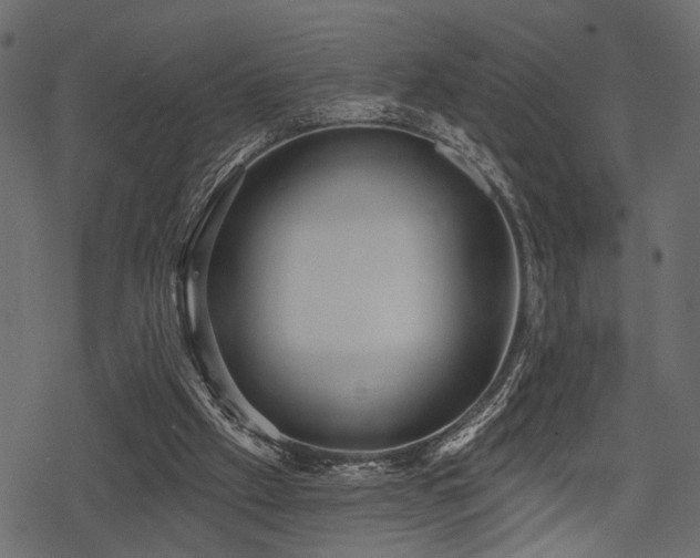 X0000078290057200611031242