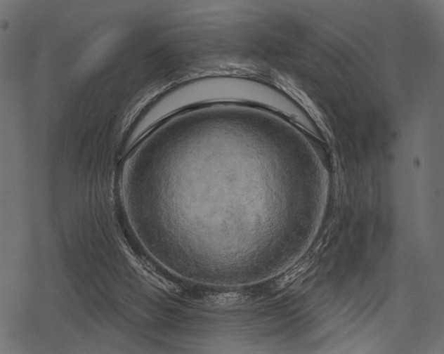 X0000078290058200611031242