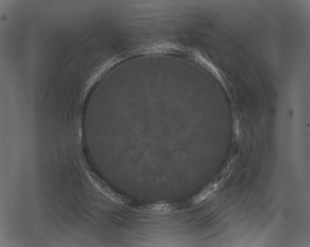 X0000078290059200611031242