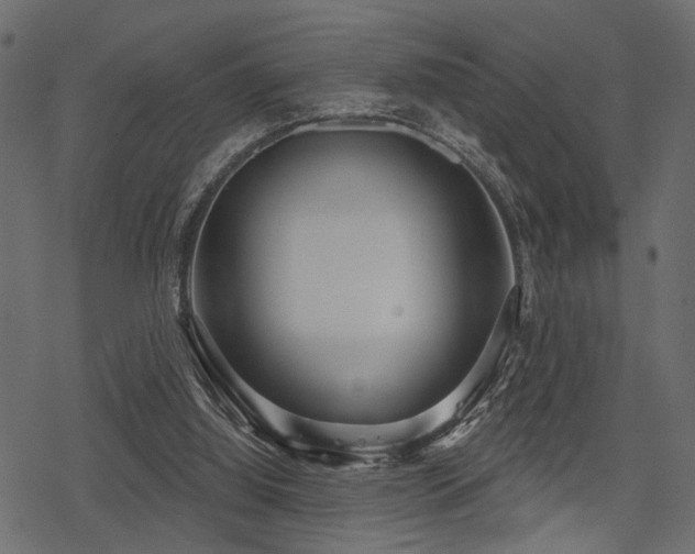 X0000078290060200611031242