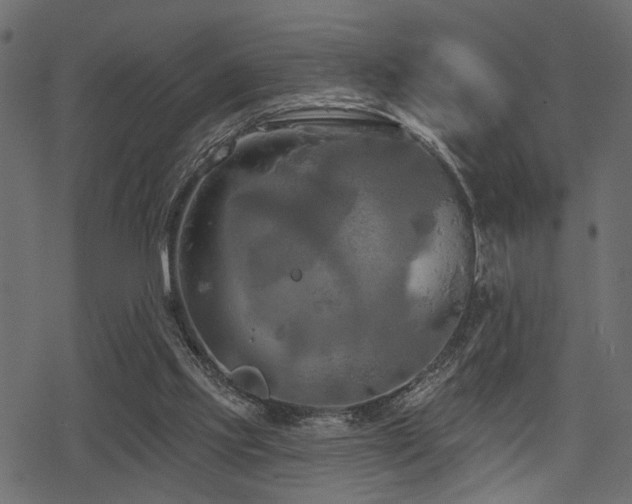 X0000078290061200611031242