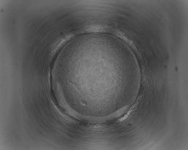 X0000078290062200611031242