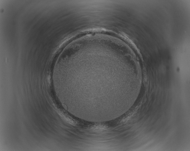 X0000078290063200611031242