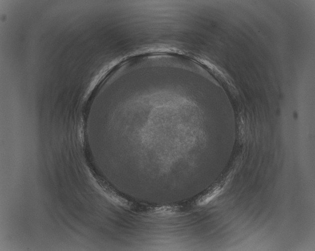 X0000078290064200611031242