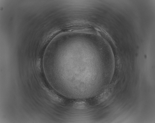 X0000078290066200611031242