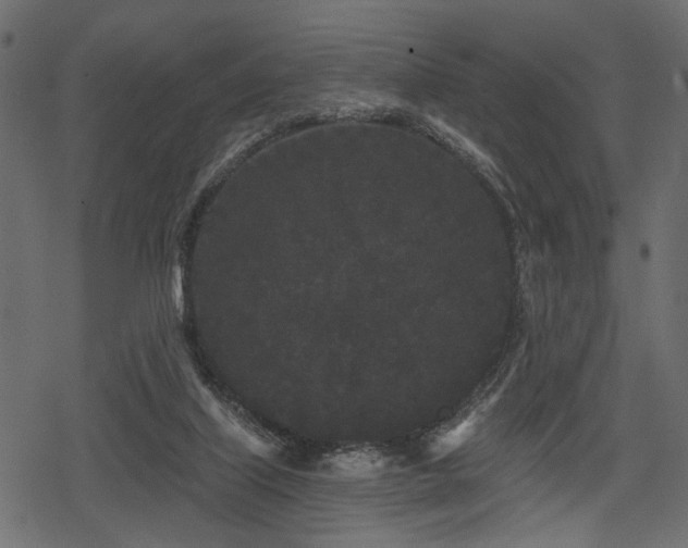 X0000078290067200611031242