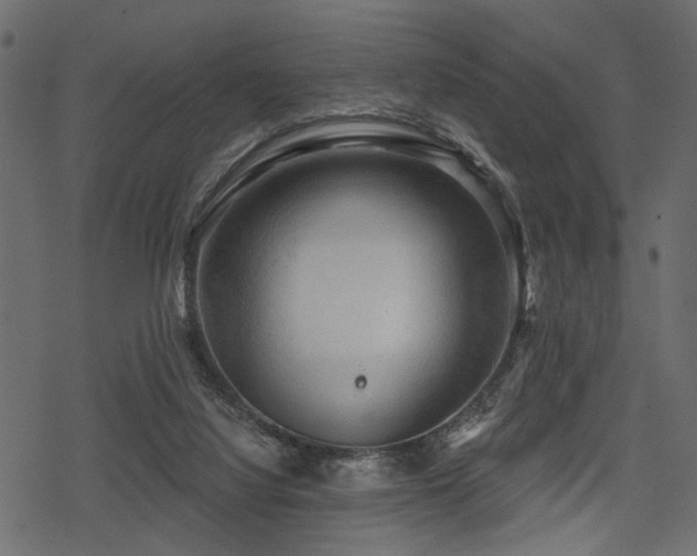 X0000078290068200611031242