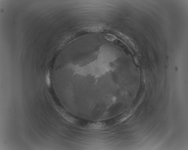 X0000078290069200611031242