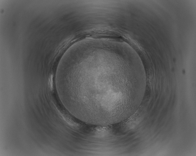 X0000078290070200611031242