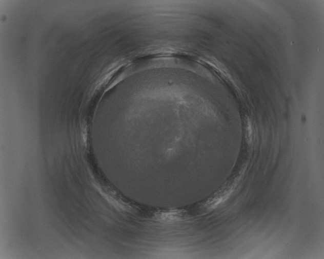 X0000078290072200611031242