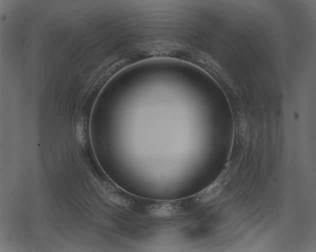 X0000078290074200611031242