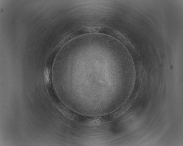 X0000078290075200611031242