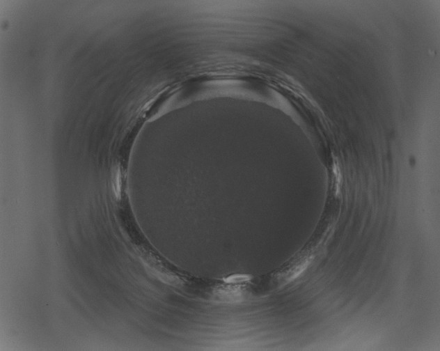 X0000078290076200611031242