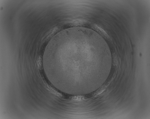 X0000078290077200611031242