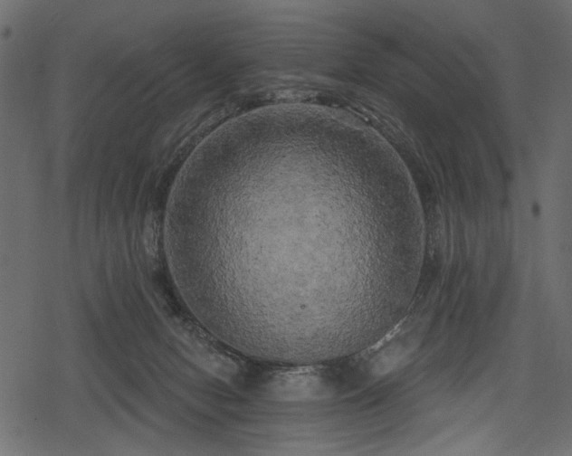 X0000078290078200611031242