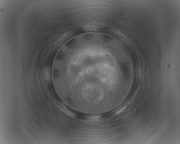 X0000078290081200611031242