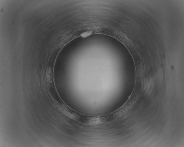 X0000078290083200611031242