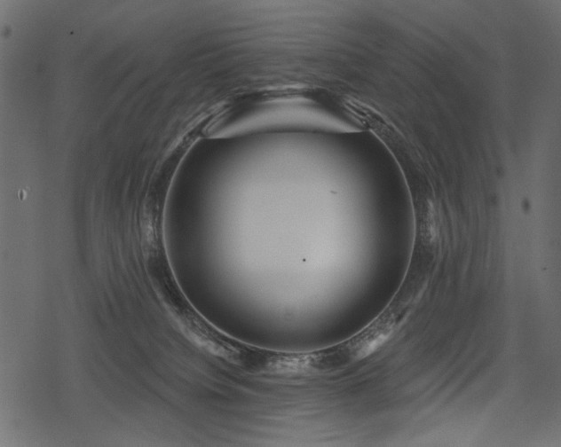 X0000078290084200611031242