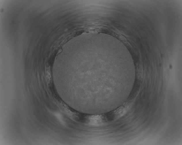 X0000078290085200611031242