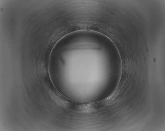 X0000078290086200611031242