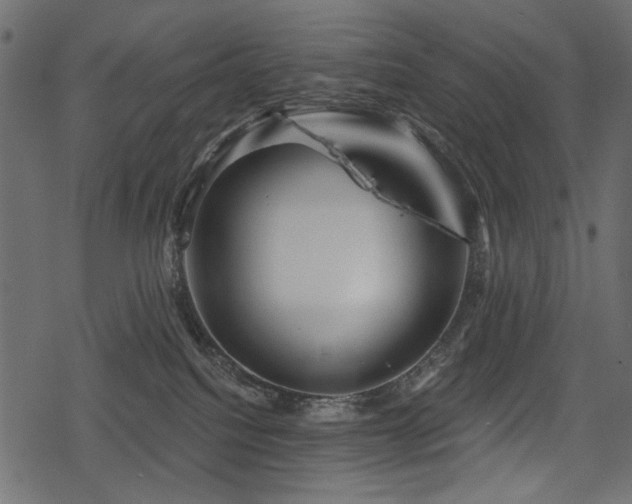 X0000078290088200611031242