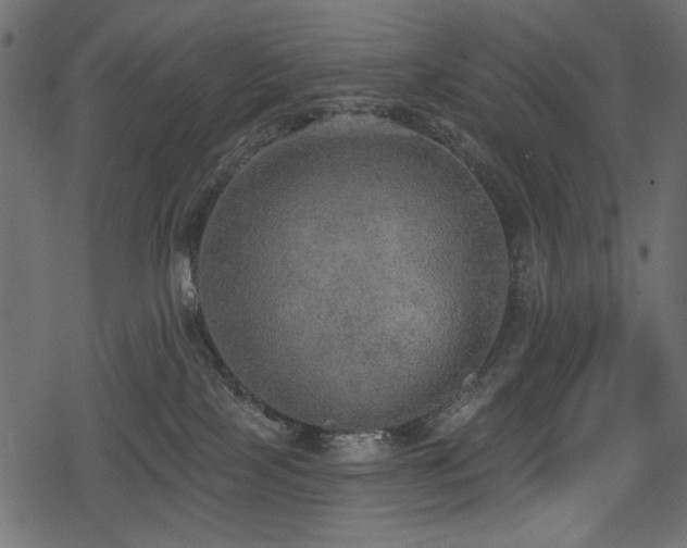 X0000078290089200611031242